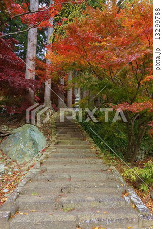 信濃三十三観音霊場 阿弥陀山 清水寺(第十六番札所) 信濃三十三観音霊場 阿弥陀山 清水寺(第十六番札所) 13299788
