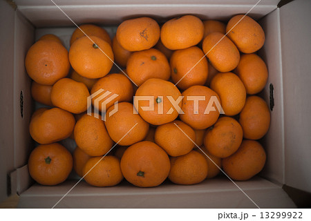 みかん箱 みかん箱 13299922