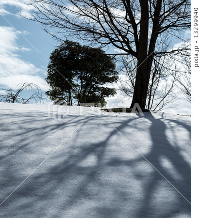 雪国 13299940