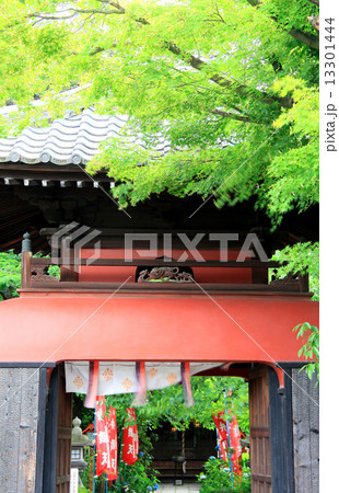 長建寺 13301444