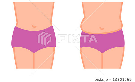 お腹 お腹 13301569