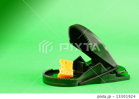 Black plastic mousetrap with bait Black plastic mousetrap with bait 13301924