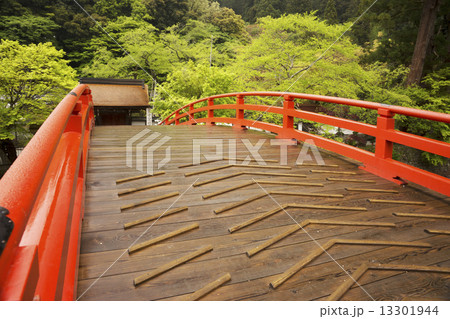 石楠花咲く室生寺 石楠花咲く室生寺 13301944