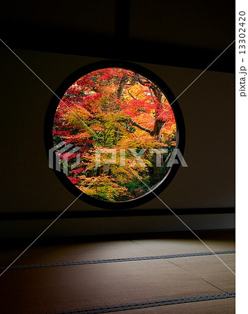 源光庵　迷いの間・悟りの窓 - 紅葉 13302420