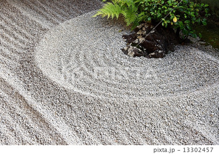 庭 - 大徳寺 庭 - 大徳寺 13302457