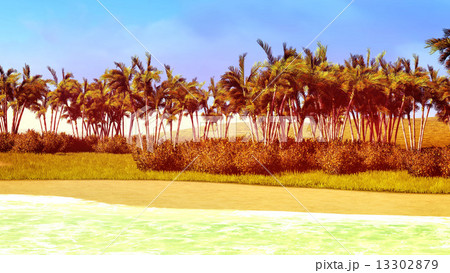 beautiful shore 13302879