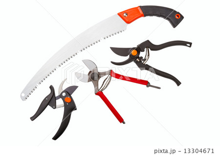 garden secateurs and hacksaw 13304671