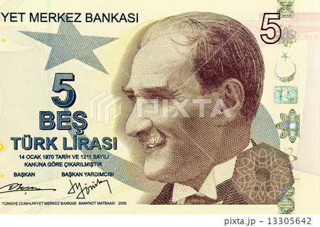 Close up of new 5 TL money 13305642