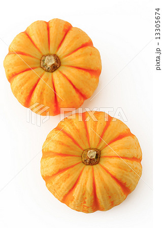 プッチーニ 13305674