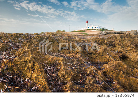 Lighthouse on the Rock 13305974
