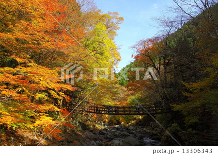 奥祖谷かずら橋 13306343