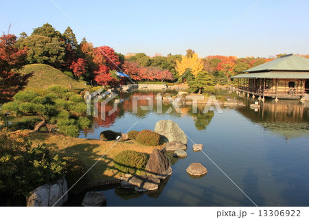 堺市大仙公園内の日本庭園の秋の風景 13306922