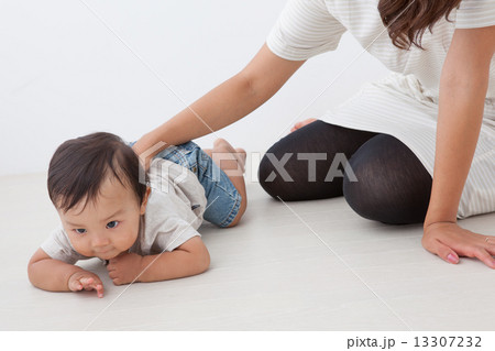 A Summer Family 13307232