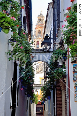 花の小道からのミナレット 花の小道からのミナレット 13307249
