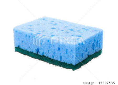 sponges sponges 13307535