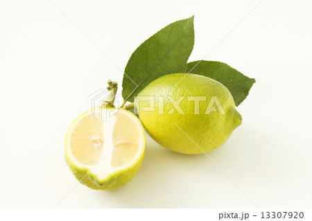 レモン 13307920
