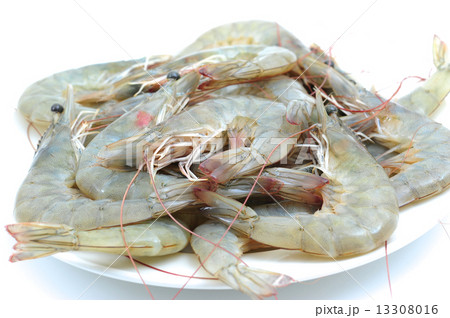 prawns, shrimps 13308016