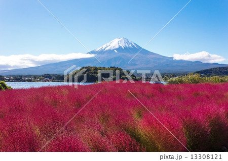 富士山 13308121