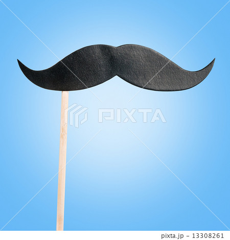 paper mustache on a stick 13308261