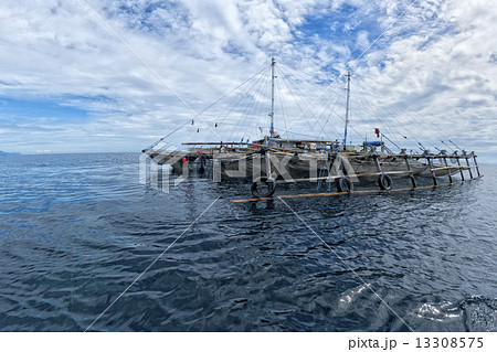 wood floating fishing platform in Papua 13308575