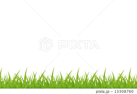 草のイラスト素材 13308760 Pixta