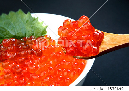イクラ 魚卵 醤油漬け いくら丼 イクラ 魚卵 醤油漬け いくら丼 13308904