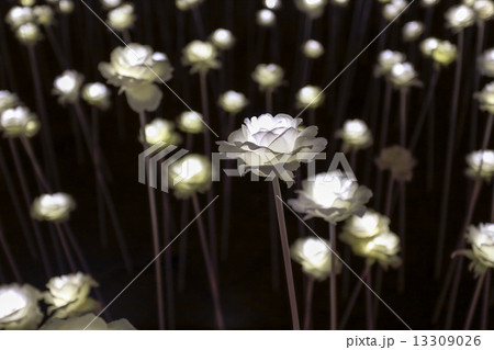 LED flower garden LED flower garden 13309026