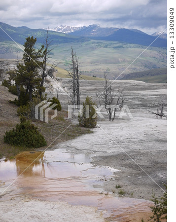 イエローストーン　テラス・マウンテン 13309049
