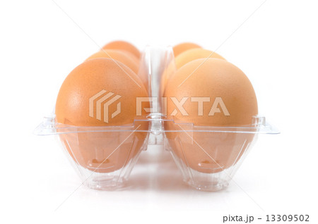 Eggs 13309502