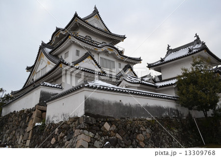 岸和田城 13309768