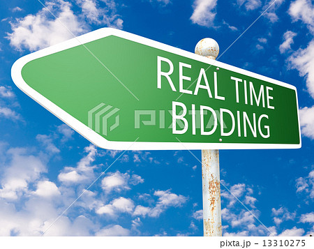 Real Time Bidding 13310275