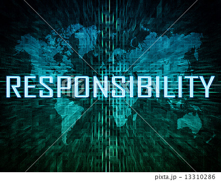 Responsibility 13310286
