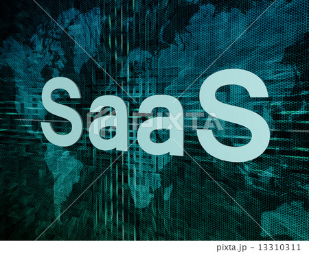 Software as a Service 13310311