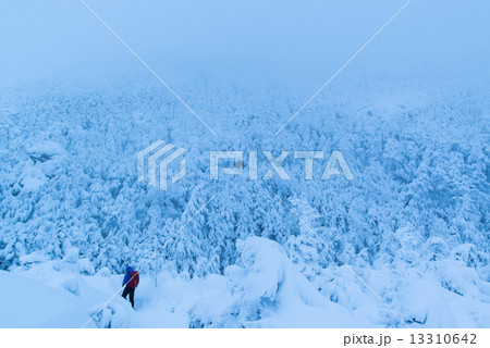 白の世界 13310642