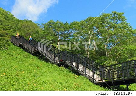 霧降高原　天空回廊 13311297