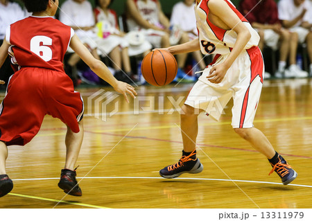 バスケットボール 13311979