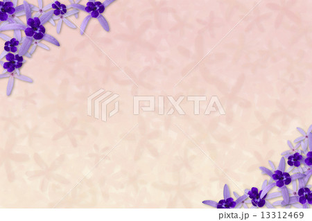 Purple flowers background Purple flowers background 13312469