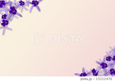 Purple flowers background Purple flowers background 13312470