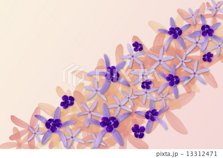 Purple flowers background Purple flowers background 13312471