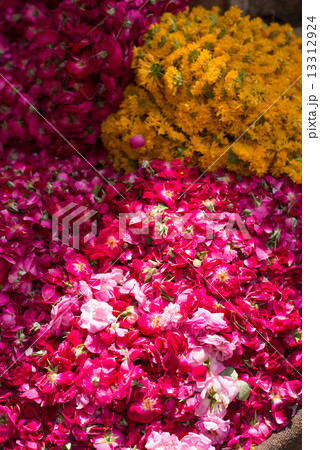 インド お供えのバラとマリーゴールドの花 インド お供えのバラとマリーゴールドの花 13312924