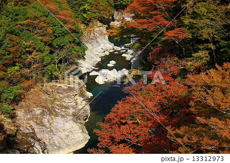 龍宮崖公園 紅葉 龍宮崖公園 紅葉 13312973