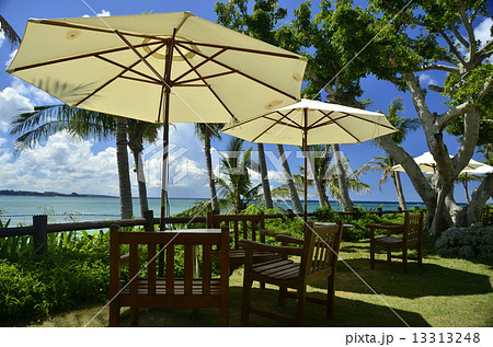 ビーチリゾートのパラソル 13313248