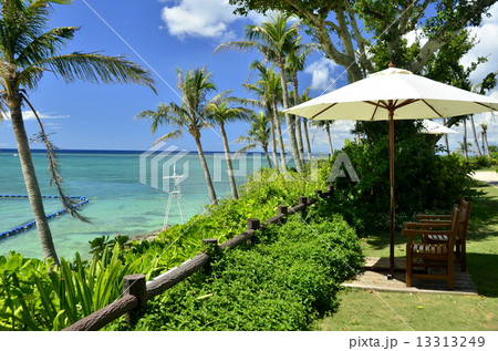 ビーチリゾートのパラソルと海 13313249