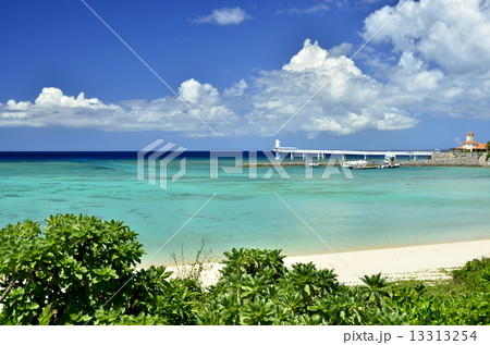 沖縄ブセナの海 13313254