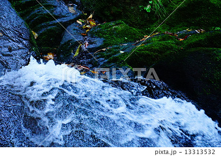 苔と滝水 13313532