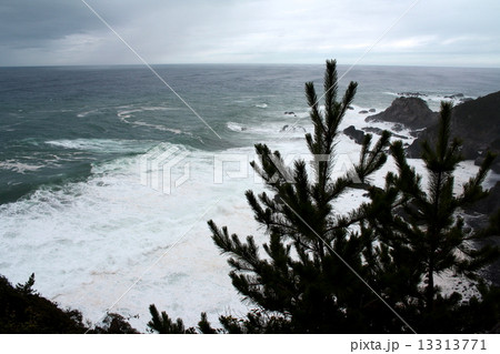 叶崎岬展望台 13313771