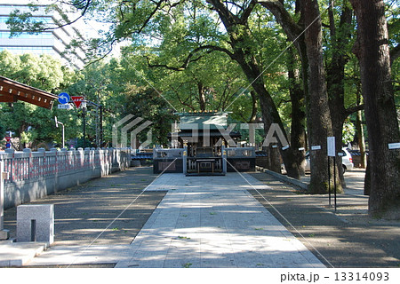 熊野神社（芝増上寺 境内／東京都港区芝公園） 13314093