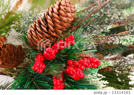 Christmas decoration Christmas decoration 13314101