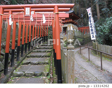 京都の狸谷山不動院 13314262