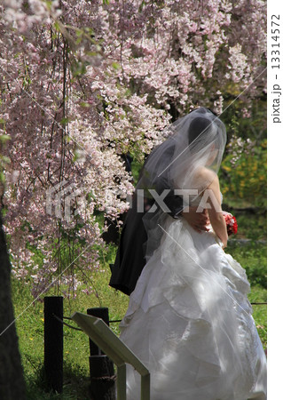 結婚式 13314572